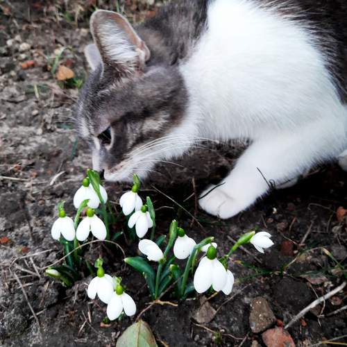 Photo #10805486