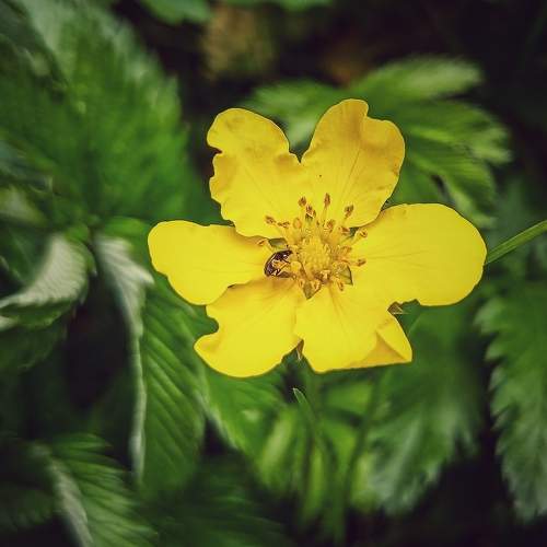 Photo #10805717