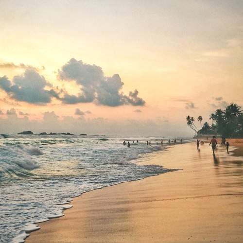 Photo #10805930