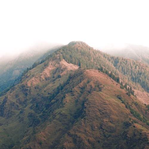 Photo #10806192