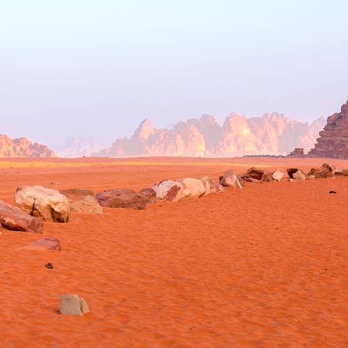 Photo #10806468