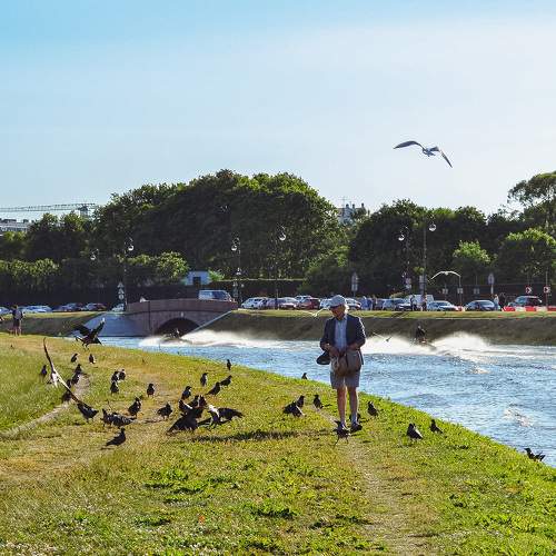 Photo #10807245