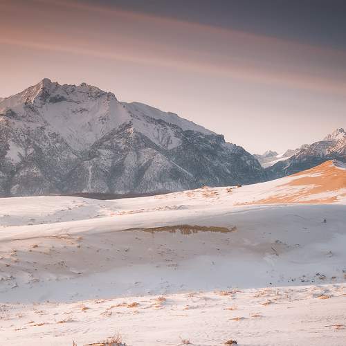 Photo #10807509