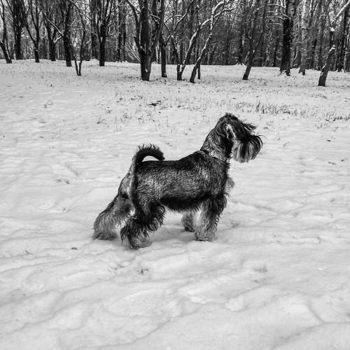 Photo #10807579