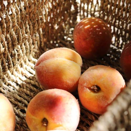 Photo #10807842