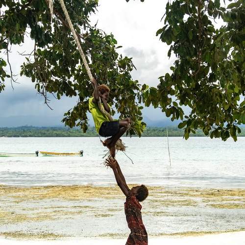 Photo #10807851
