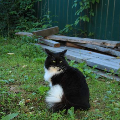 Photo #10808157