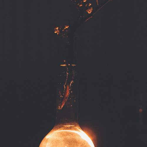 Photo #10808383
