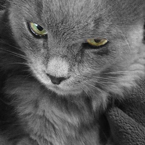 Photo #10808545