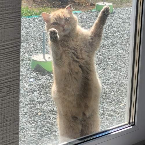 Фотография #10808690