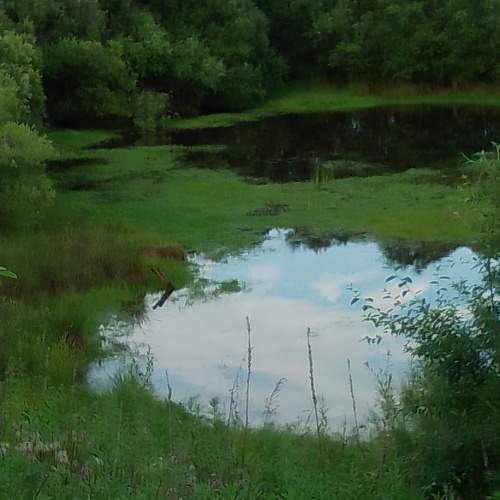 Photo #10808722