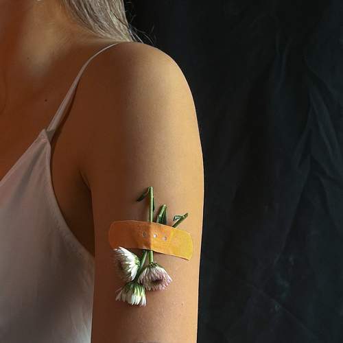 Photo #10808791