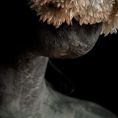 Photo #10808797