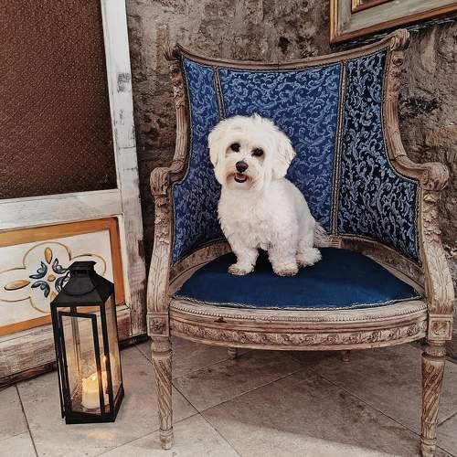 Photo #10808860