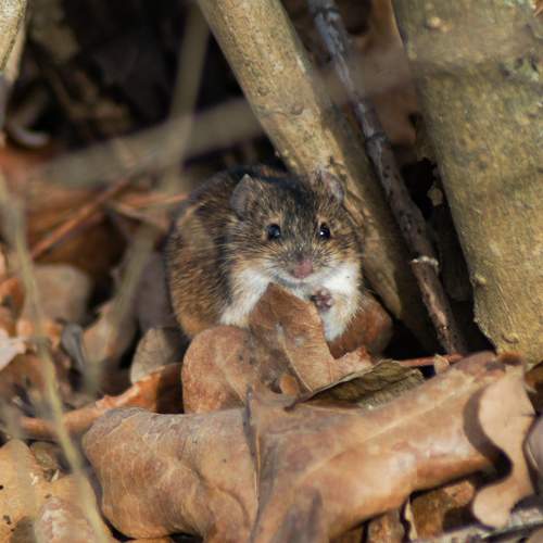 Photo #10809062