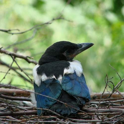 Photo #10809099