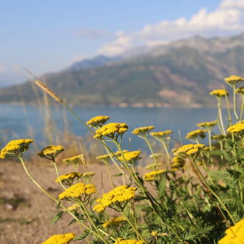 Photo #10809190