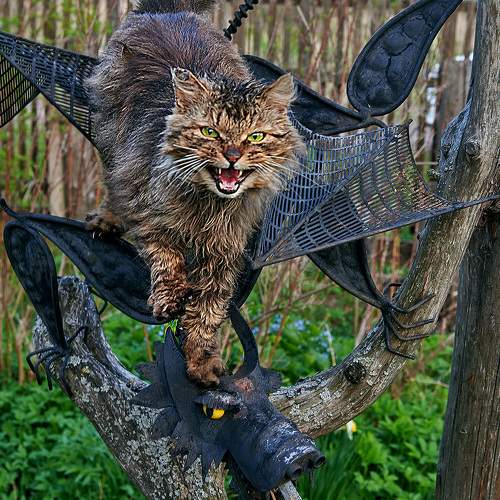 Photo #10809200