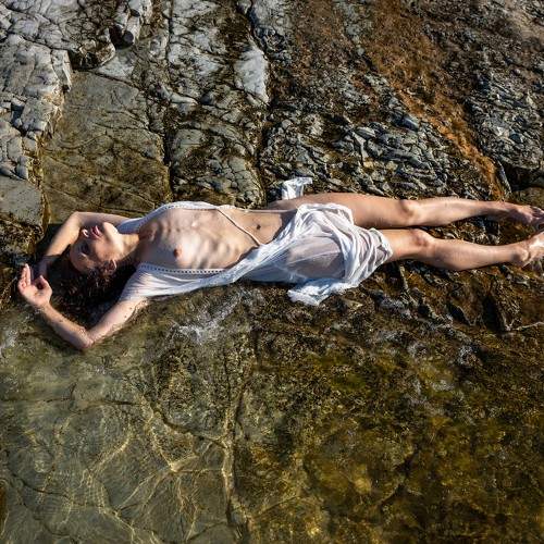 Photo #10809237