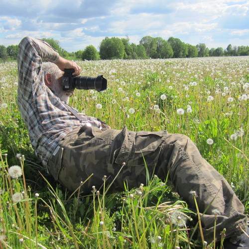 Photo #10809454