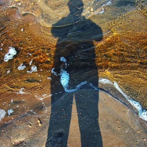 Photo #10809467