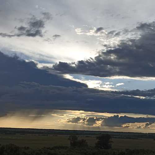 Photo #10809517