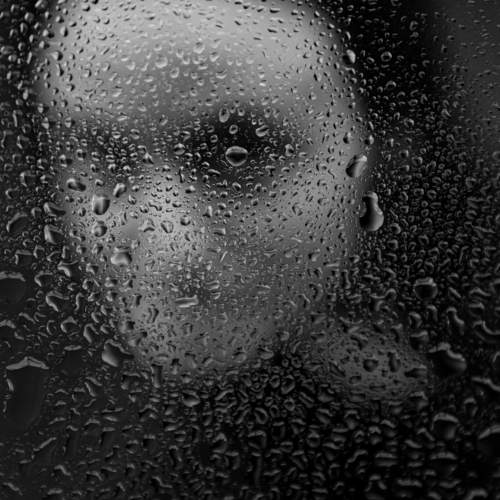 Photo #10809677
