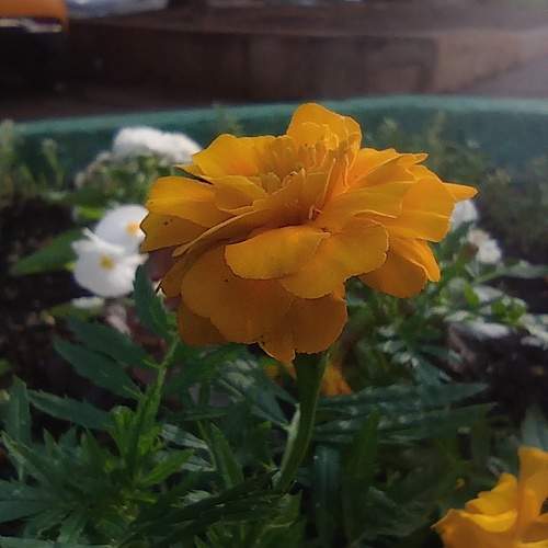 Photo #10810105