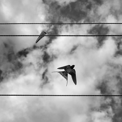 Photo #10810276