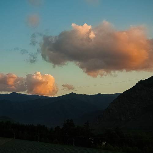 Photo #10810952