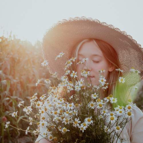 Photo #10811085