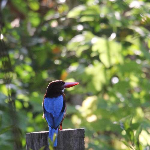 Photo #10811099