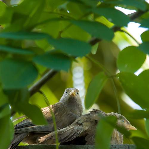 Photo #10811123