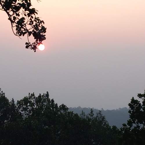 Photo #10811193