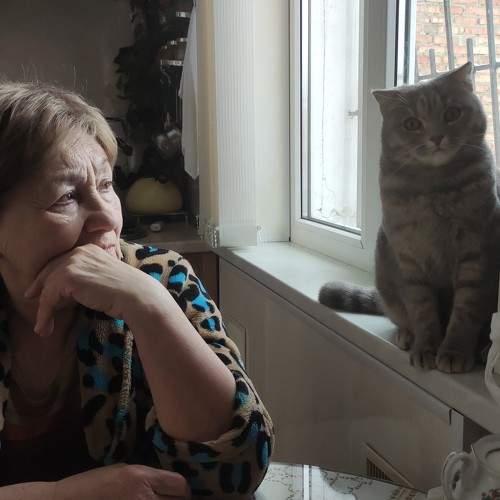 Photo #10811327