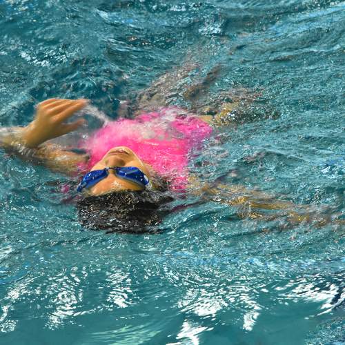 Photo #10812260