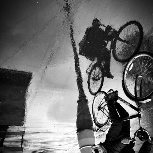 Photo #10812399