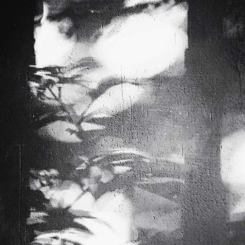 Photo #10812644
