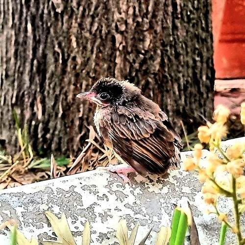 Photo #10812649