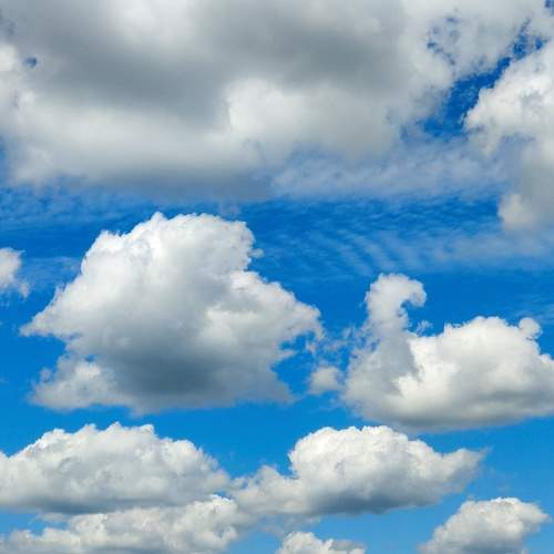 Photo #10812765