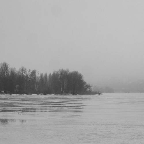 Photo #10812952