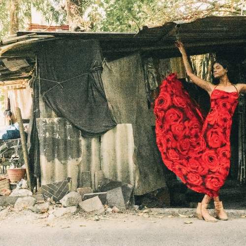Roses Amidst Rubble