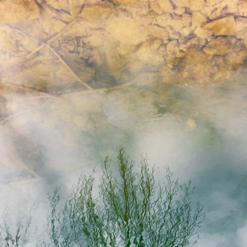 Photo #10813195