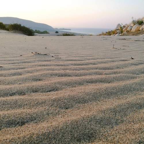 Photo #10813428