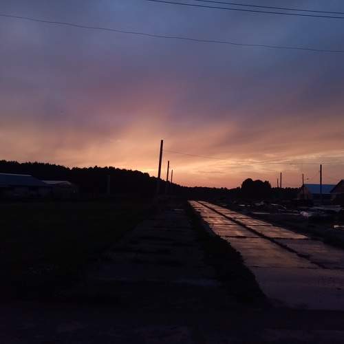 Photo #10813824