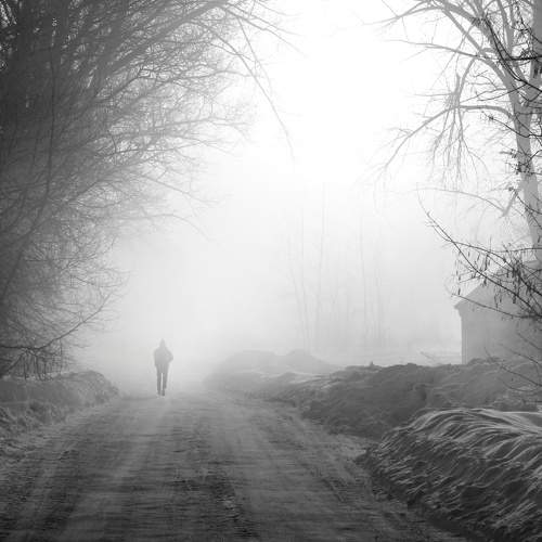 Photo #10814033