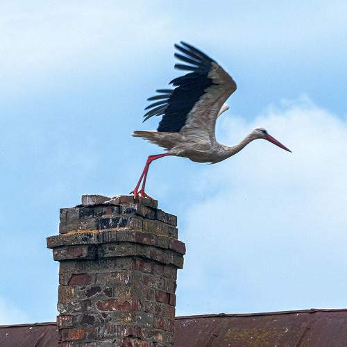 Photo #10814723