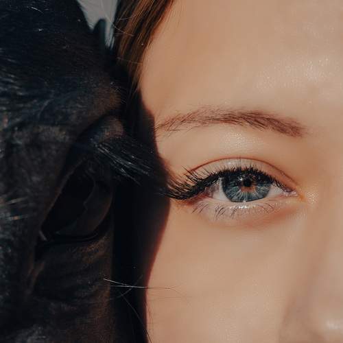 Photo #10814733