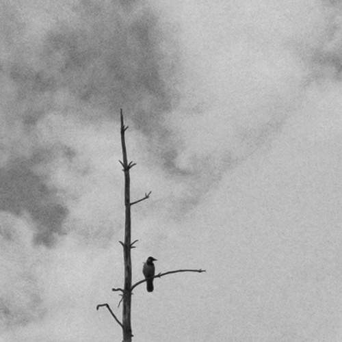 Photo #10814762