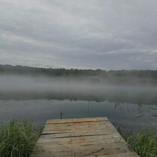 Photo #10814784